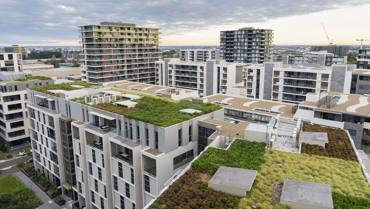 Sustainability rooftop garden